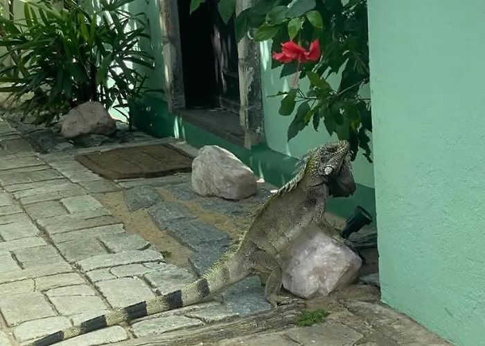 Pousada O Refúgio