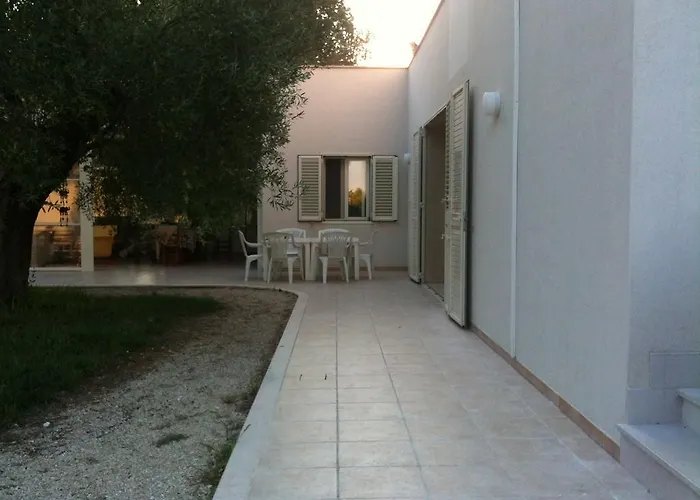 Finestre Tra Gli Ulivi