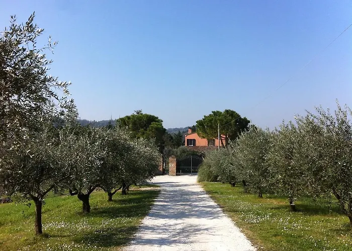 Paradisoincollina Ss