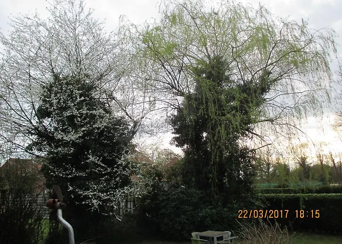 Hotel with pool: B&B Roseland