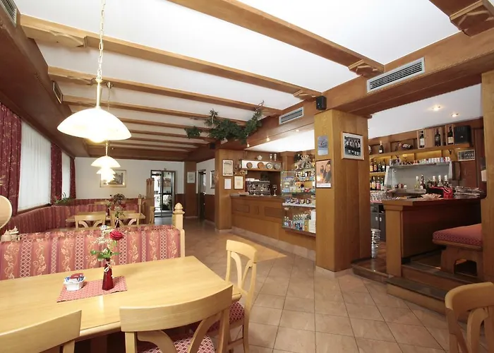 3 sterren hotel: Hotel Alpino Plan