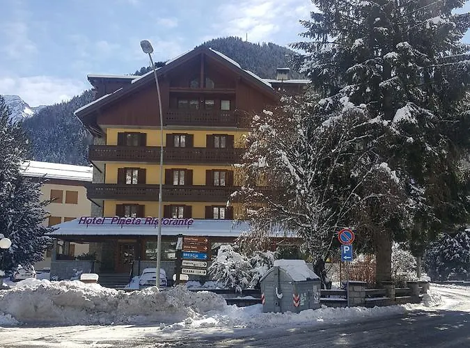 Hotel 3 stelle: Hotel Pineta