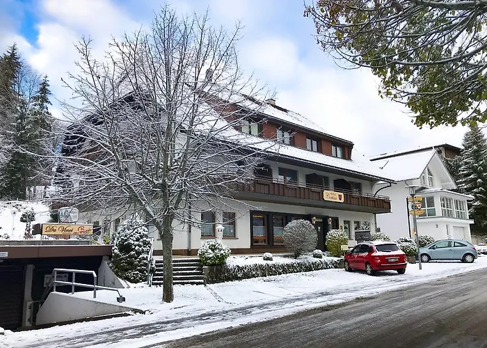 Hotel: Hotel Cortina