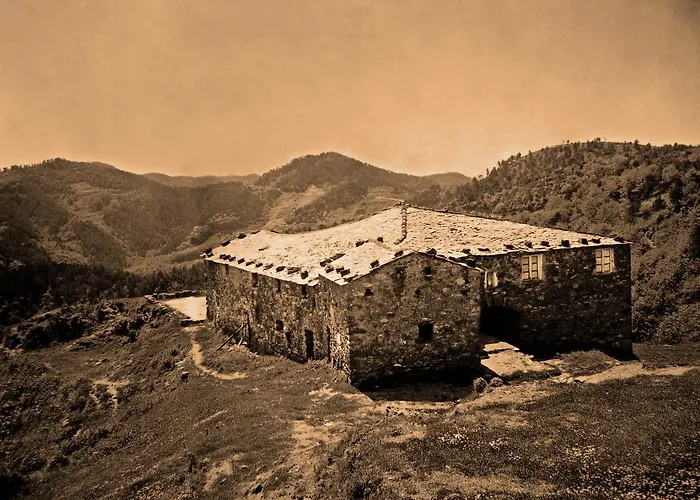 Agriturismo Degli Olivi