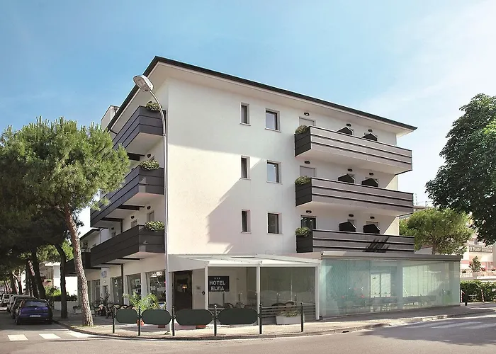 Hotel adatto agli animali: Hotel Elvia