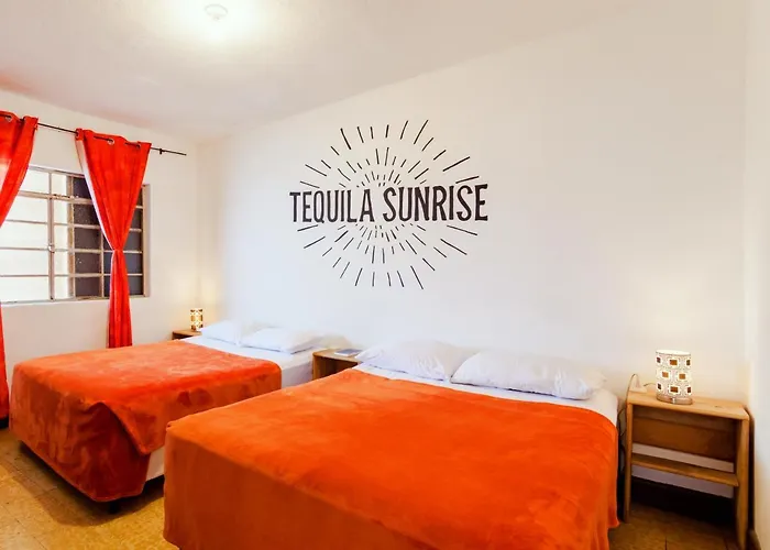 The Hostels Tequila Sunrise