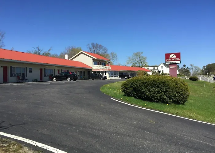 Motel: The Gull Motel, Belfast