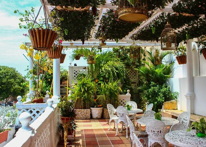 Dog friendly hotels Casa Mary