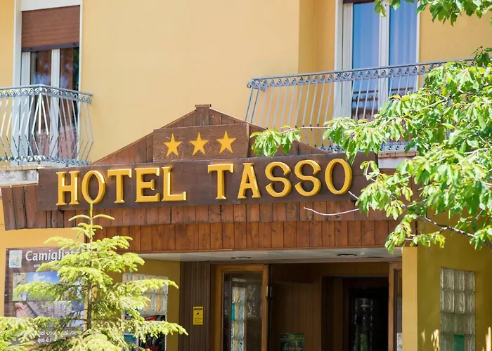  Tasso