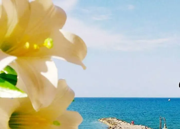  Al Giglio
