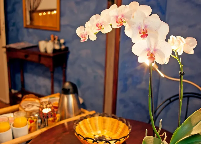 Bed and Breakfast Barrio Amsterdam