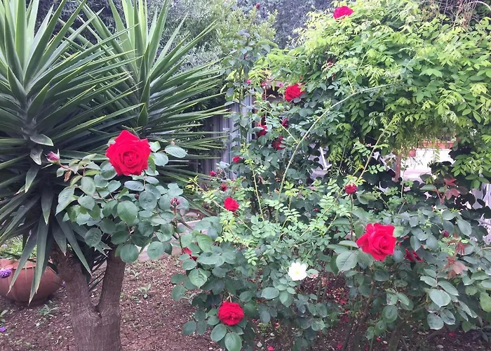 Il Giardino Della Foglia